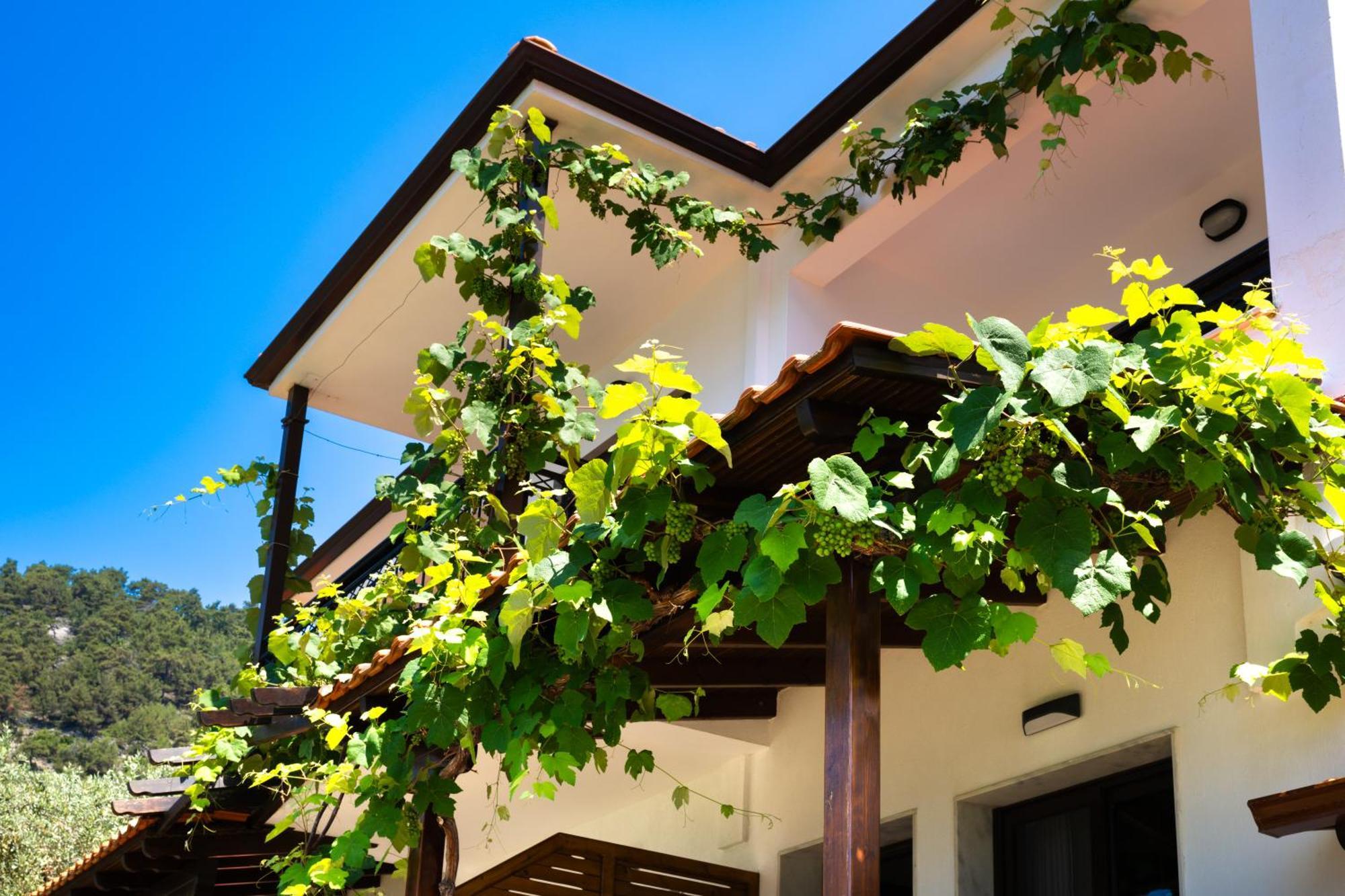 Island View Villa Golden Beach  エクステリア 写真